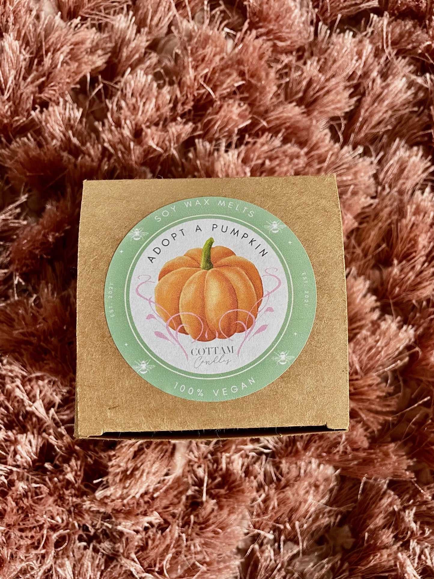 Adopt A Pumpkin Melt-SQ1787283