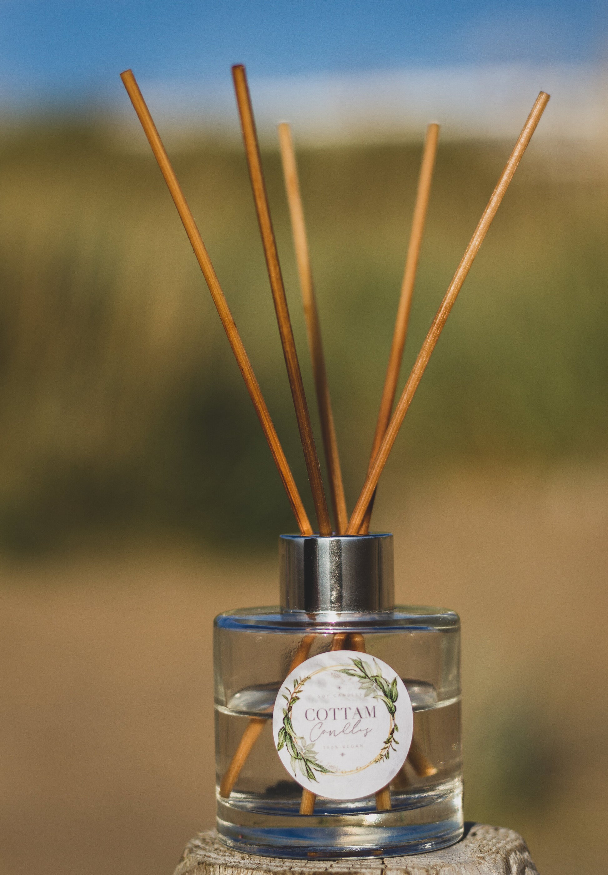 100ml Reed Diffuser-SQ0815255